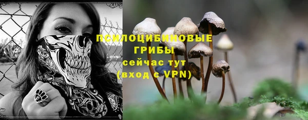 MDMA Заводоуковск