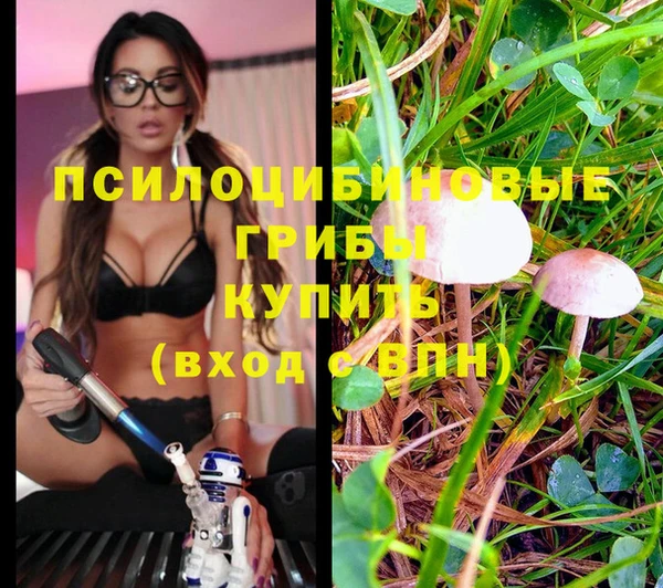 ГАЛЛЮЦИНОГЕННЫЕ ГРИБЫ Зерноград