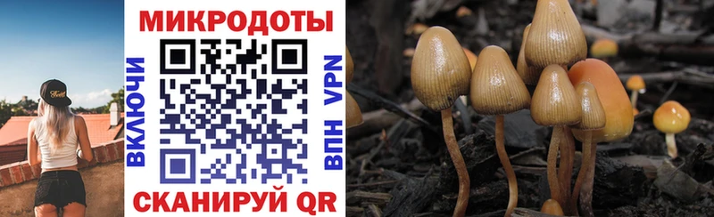 Псилоцибиновые грибы ЛСД  MEGA ТОР  Среднеуральск 