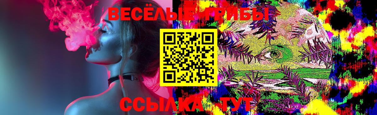 Галлюциногенные грибы Cubensis Среднеуральск
