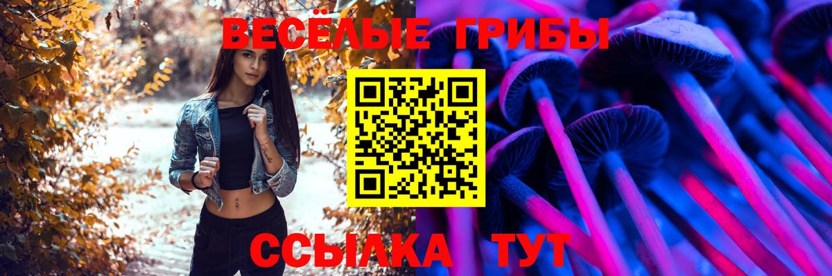 Среднеуральск  Галлюциногенные грибы GOLDEN TEACHER  Псилоцибиновые грибы GOLDEN TEACHER  Вход с VPN 